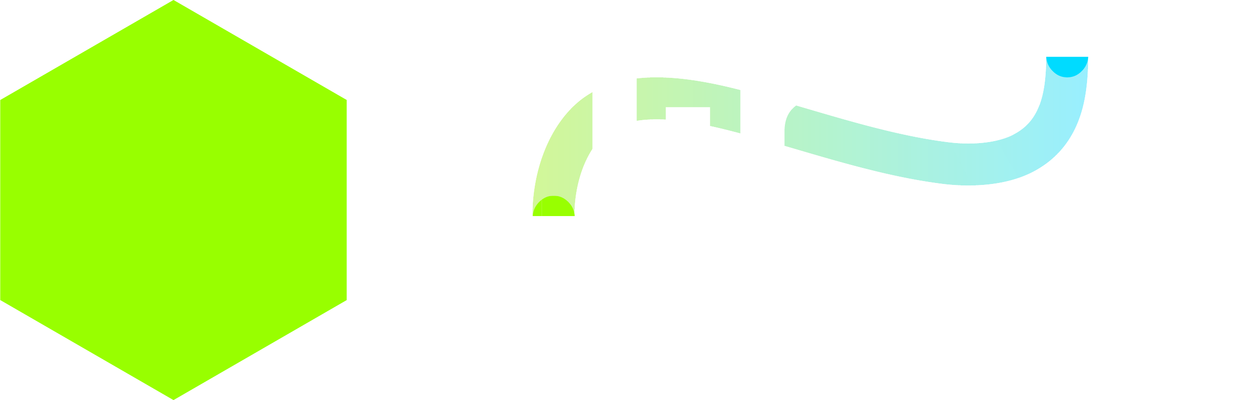 Logo BlinkS