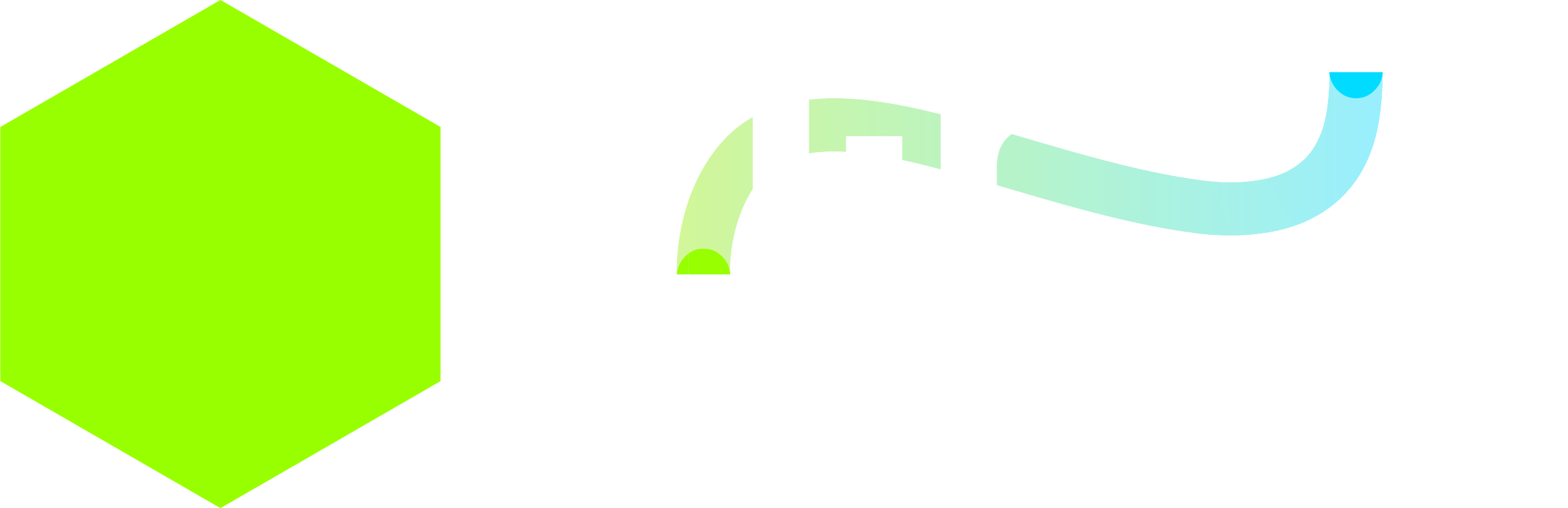 Logo BlinkS